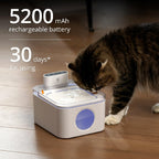 2.8L Rechargeable Wireless Pet Water Fountain with Sensor & Filtration