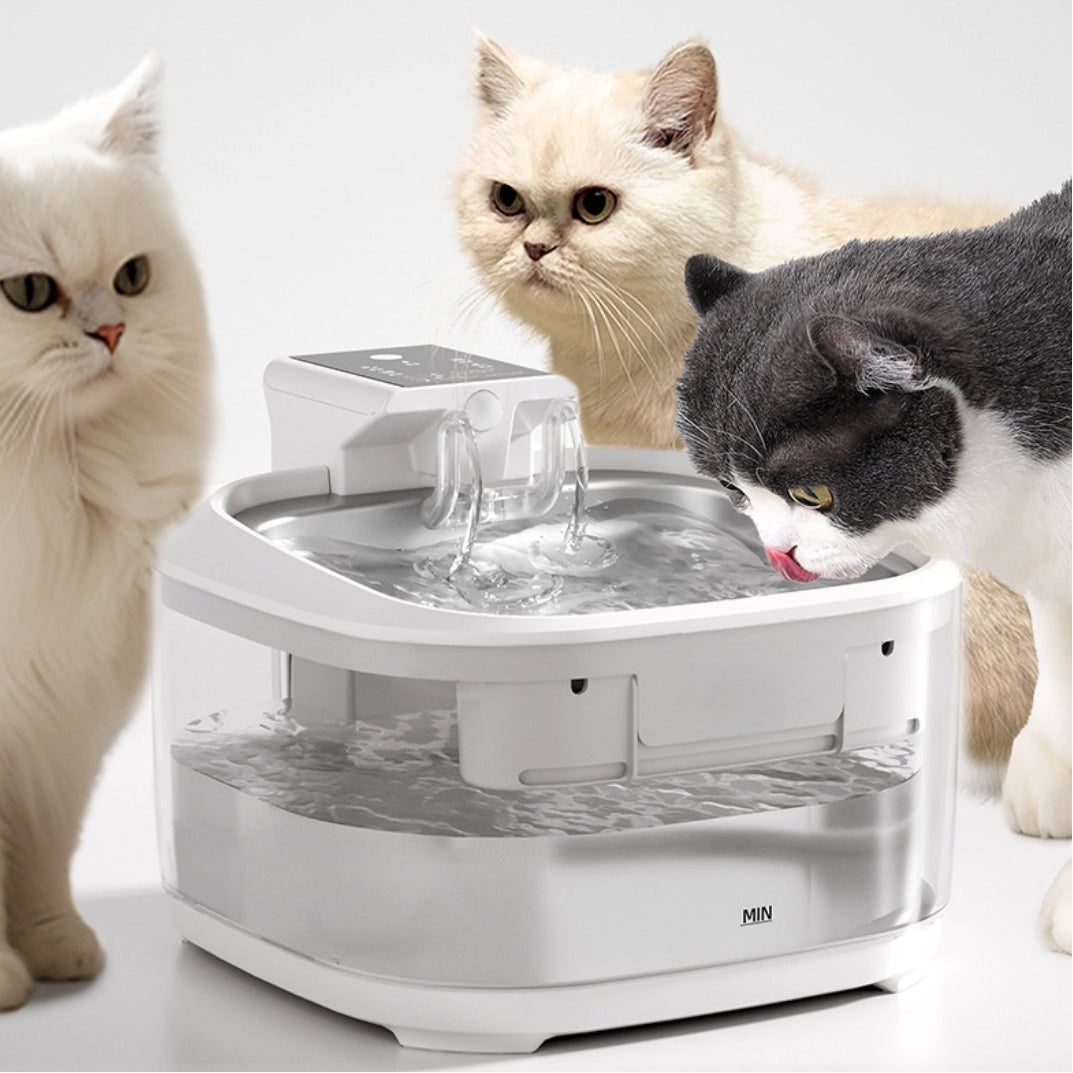 Wireless Stainless Steel Pet Water Fountain for Cats and Dogs