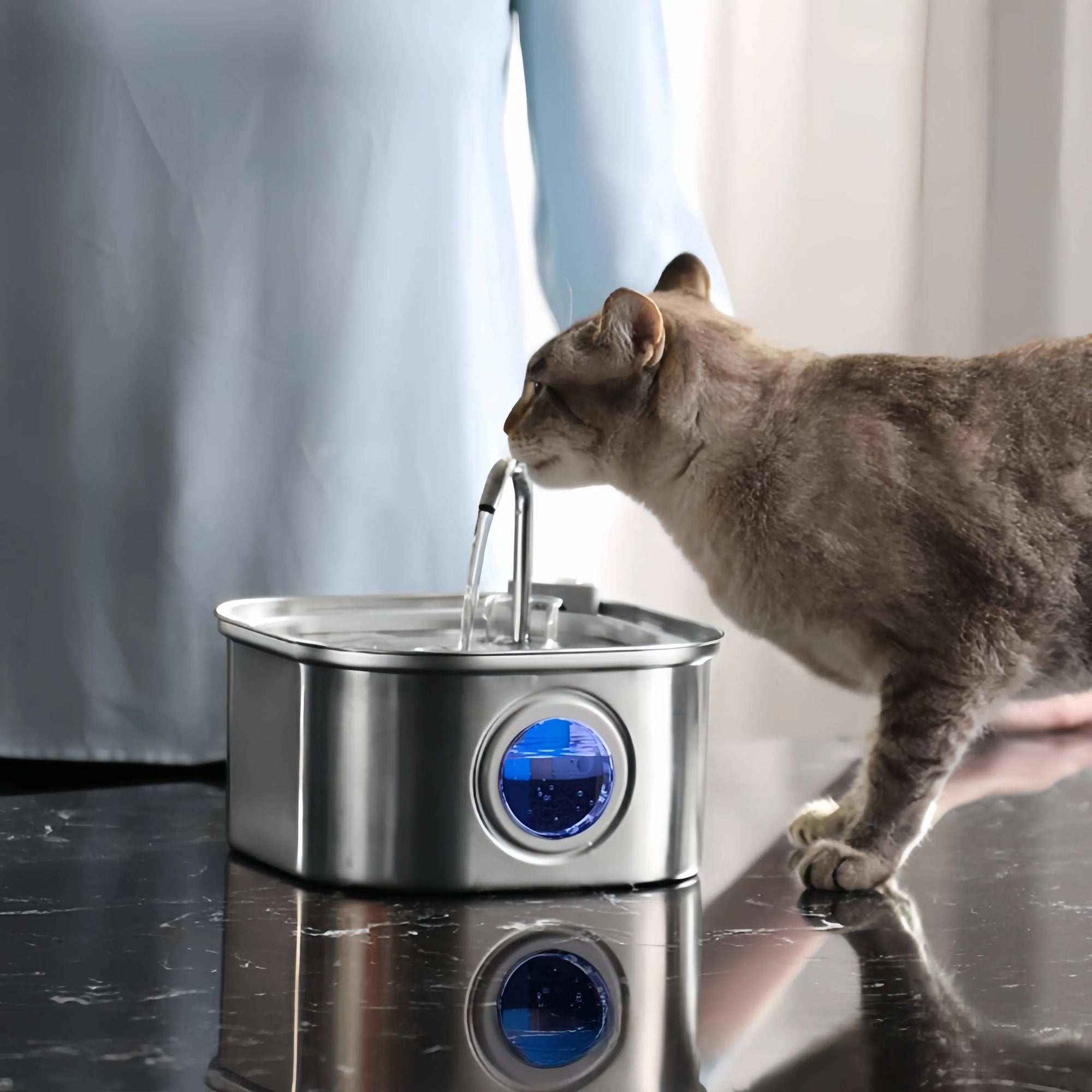 3.2L Stainless Steel Pet Water Fountain with Filtration for Cats & Dogs