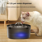 2.2L Plastic Pet Water Fountain with Quiet Pump and Multi-Stage Filtration