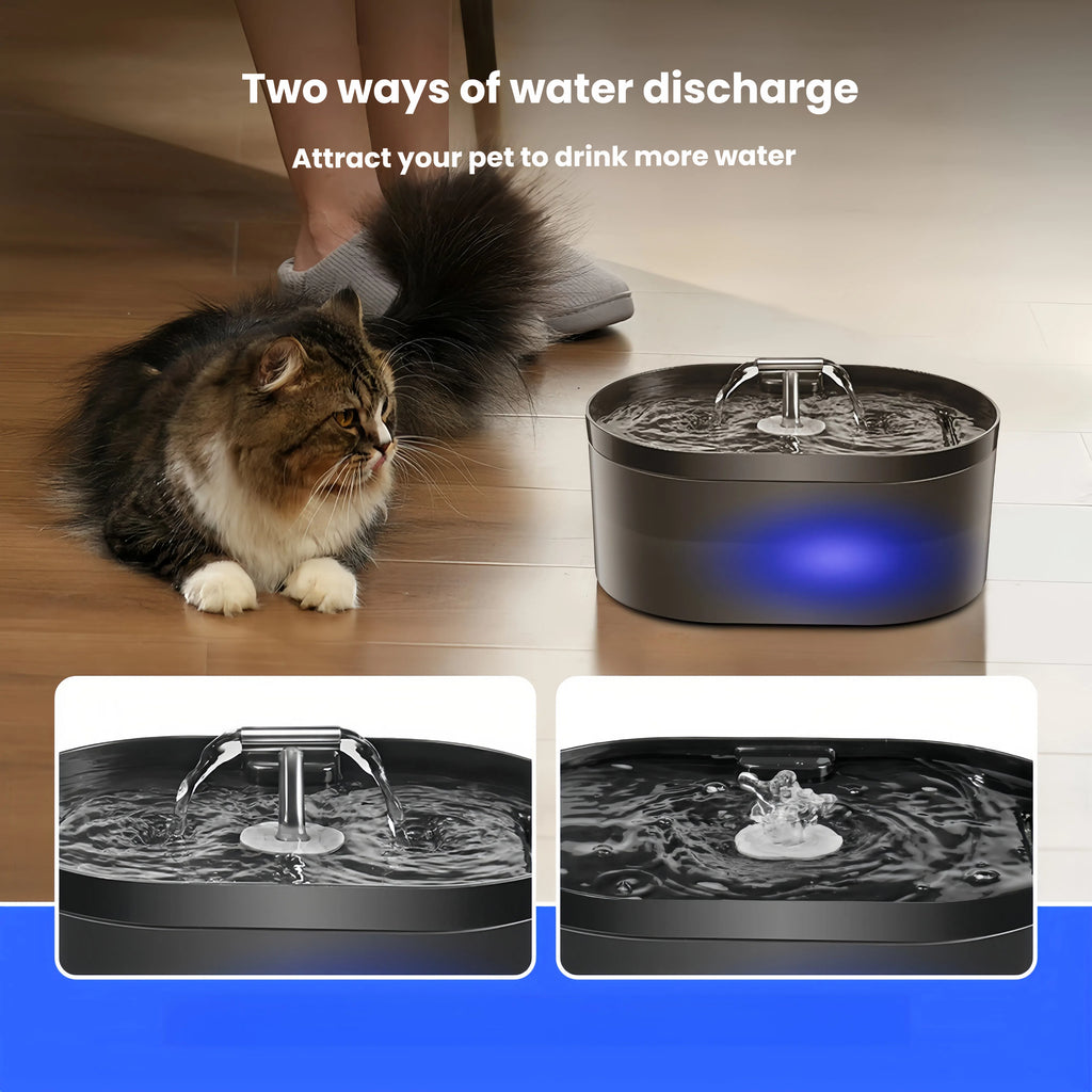 2.2L Plastic Pet Water Fountain with Quiet Pump and Multi-Stage Filtration