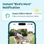 Smart Bird Feeder with Camera – AI-Powered Bird Watching Made Easy