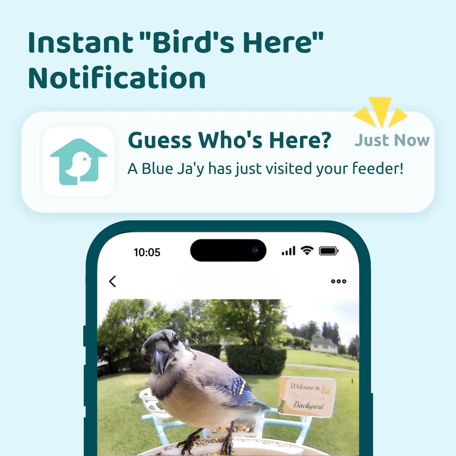 Smart Bird Feeder with Camera – AI-Powered Bird Watching Made Easy
