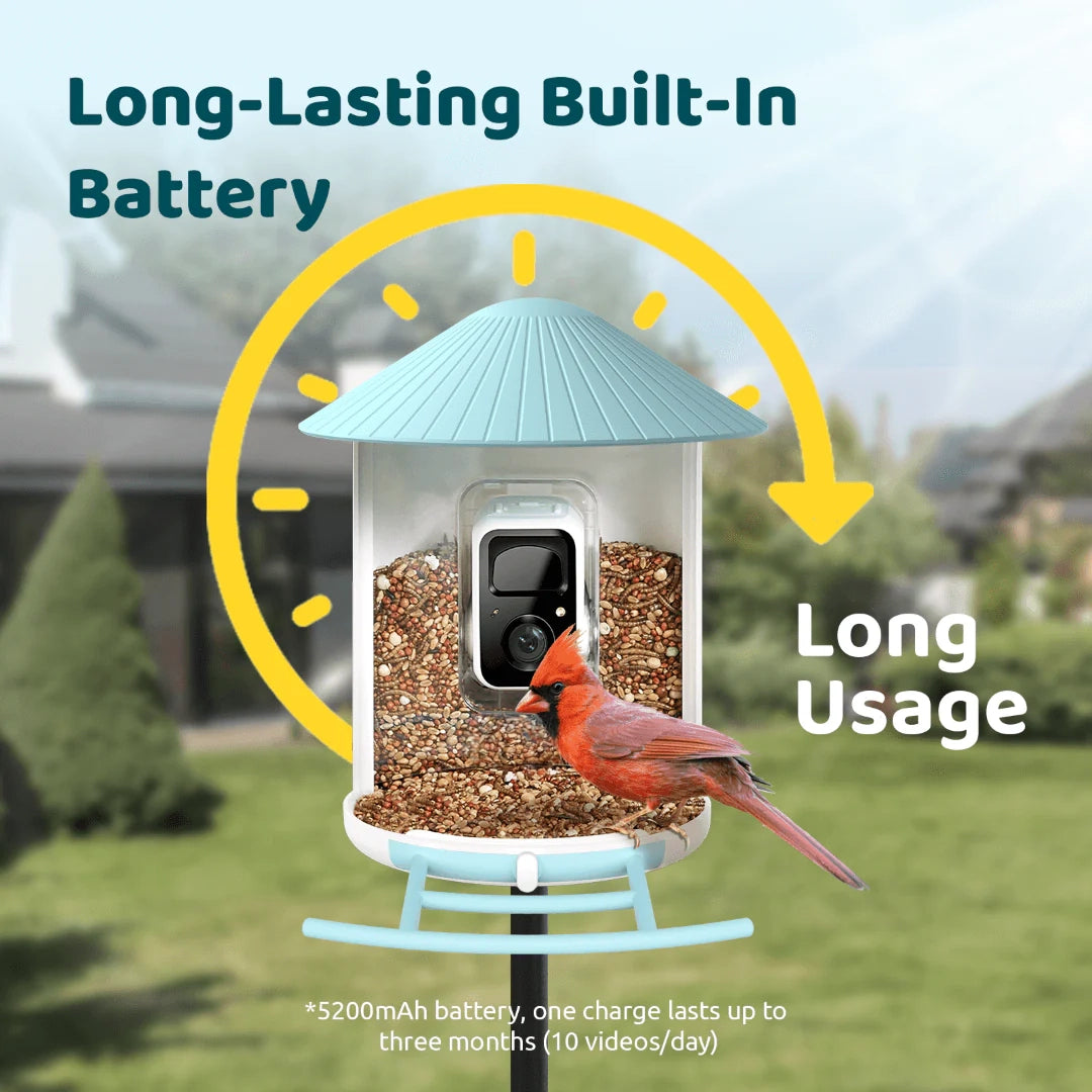 Smart Bird Feeder with Camera – AI-Powered Bird Watching Made Easy