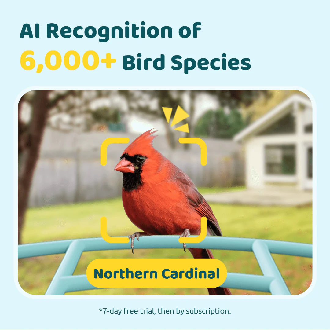 Smart Bird Feeder with Camera – AI-Powered Bird Watching Made Easy